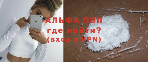 тгк Бердск