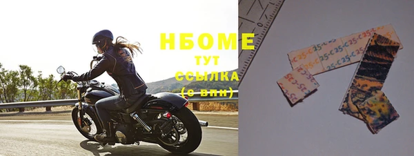 тгк Бердск