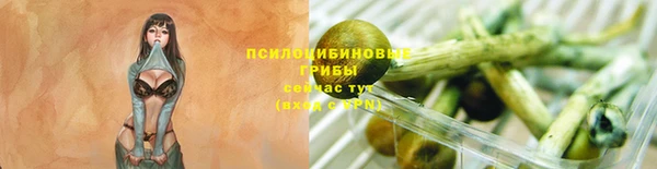 тгк Бердск