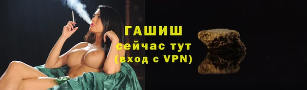 тгк Бердск