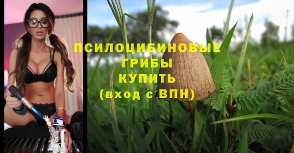тгк Бердск