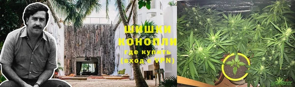 тгк Бердск