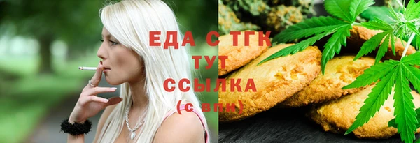 тгк Бердск