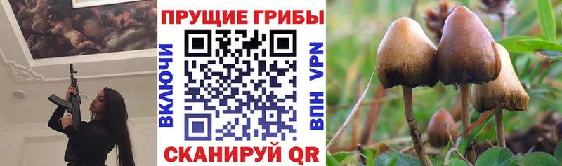 Галлюциногенные грибы ЛСД  Аксай 