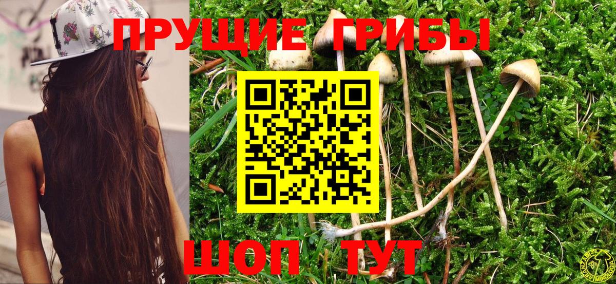 Псилоцибиновые грибы GOLDEN TEACHER Аксай