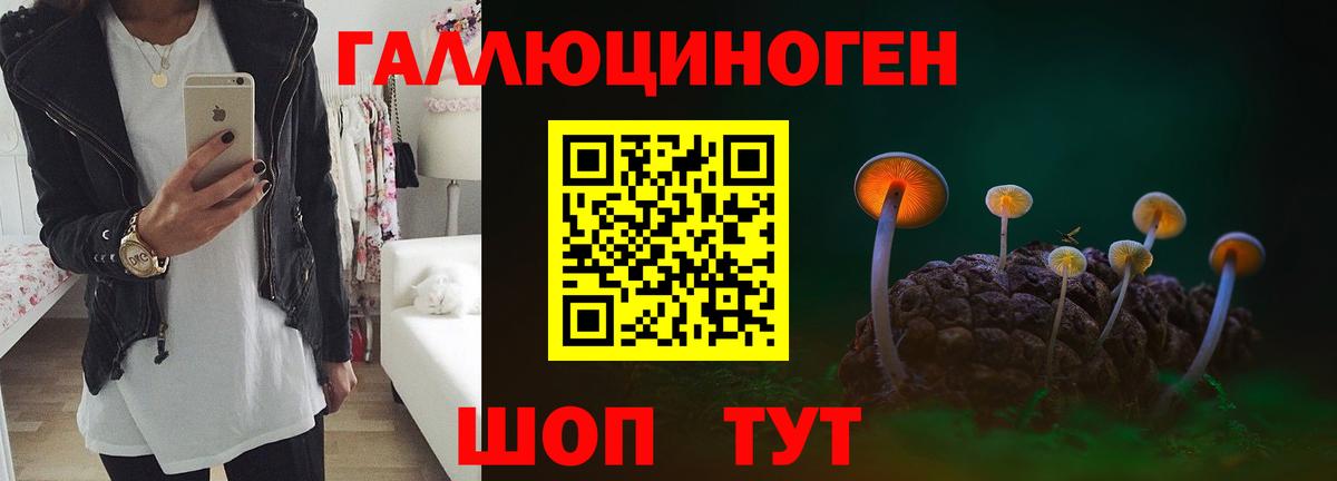 Аксай  Псилоцибиновые грибы Cubensis  Вход с VPN  Псилоцибиновые грибы мицелий 